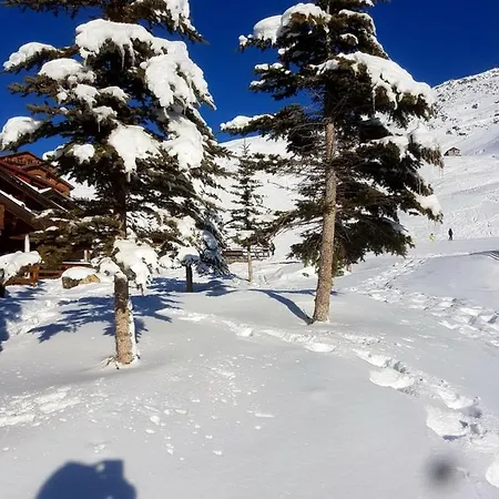 Catered Skichalet Bramble Chalet